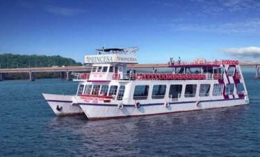 dinner cruise goa sailing on mandovi river